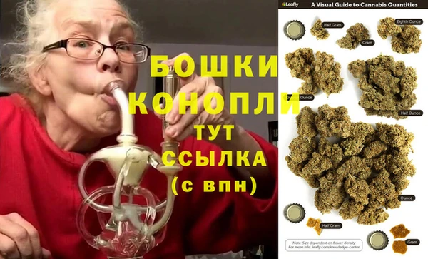 гидра Алексеевка