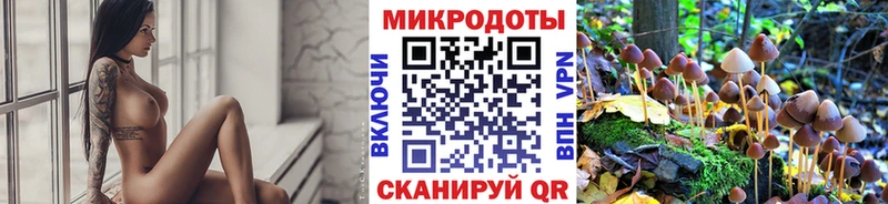 Галлюциногенные грибы прущие грибы Коркино