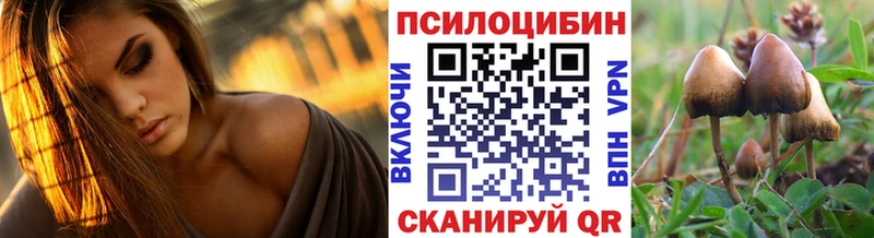 Псилоцибиновые грибы GOLDEN TEACHER  hydra вход  Коркино 